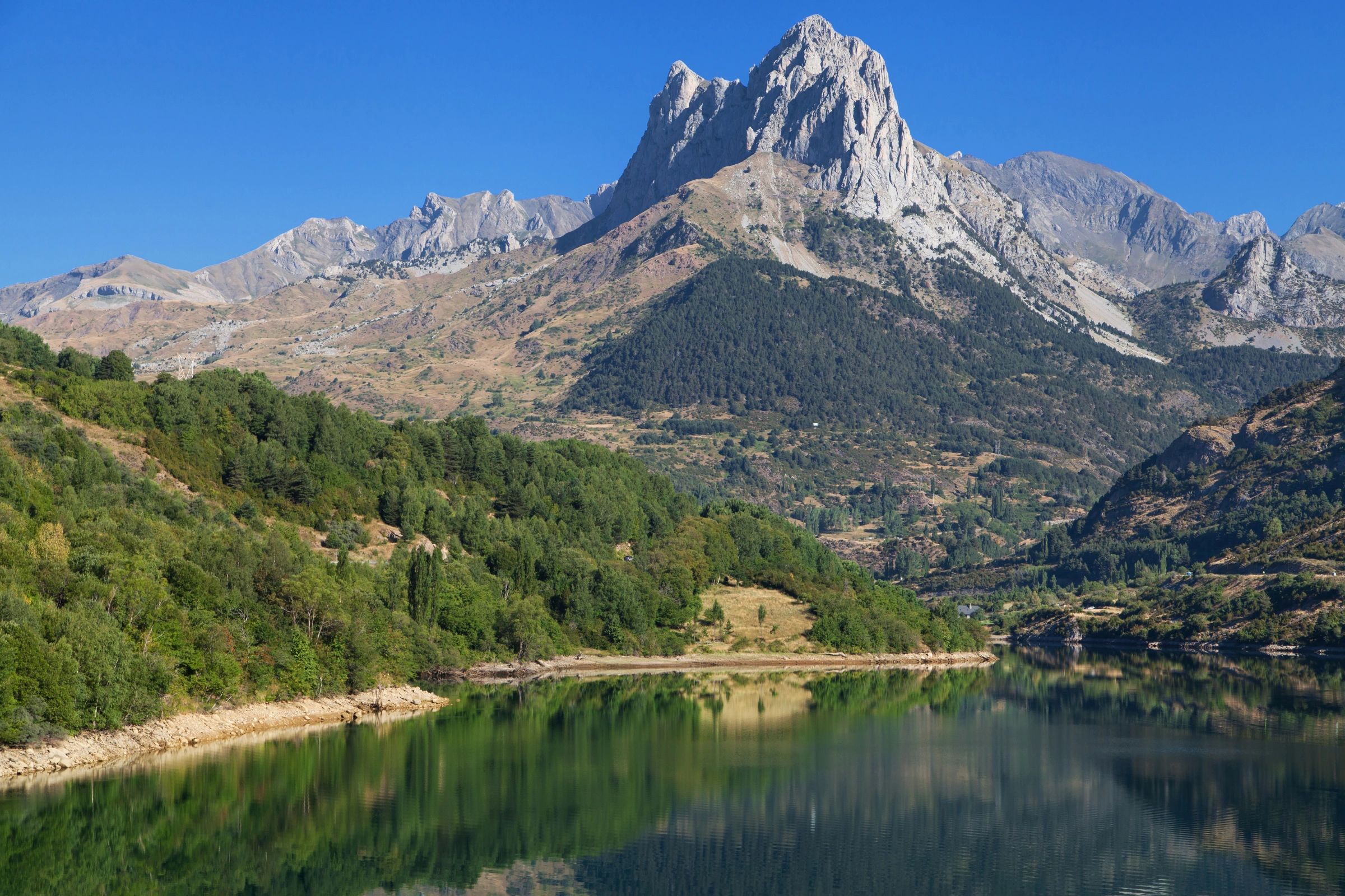 Tena[1].webp